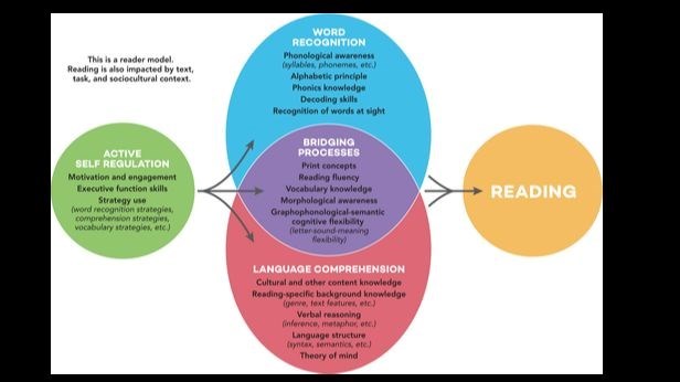 Cognitive model best sale of reading